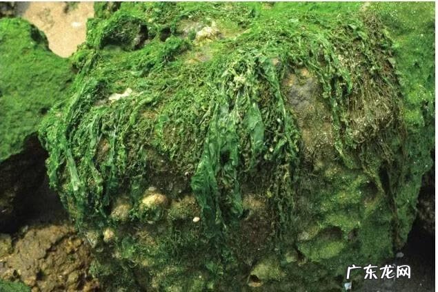 大自然景观作文 大自然景观