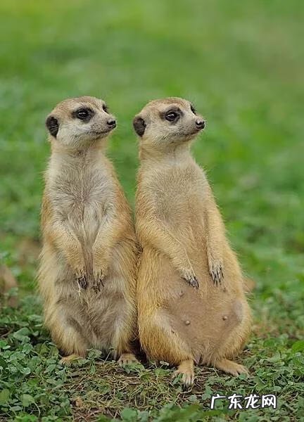 大自然景观作文 大自然景观