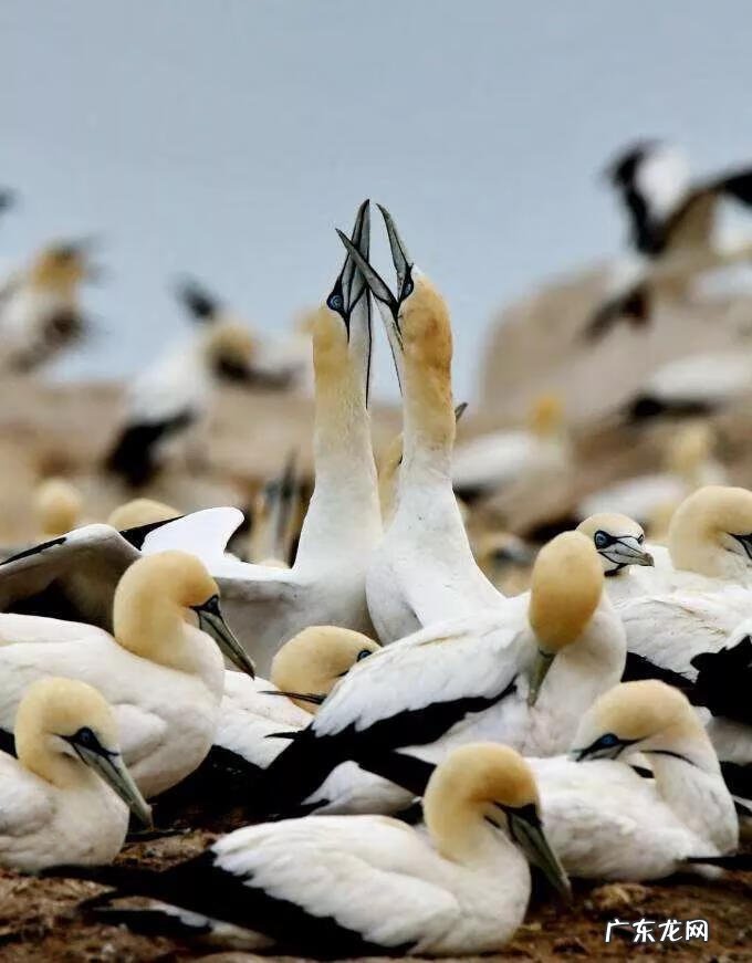 大自然景观作文 大自然景观