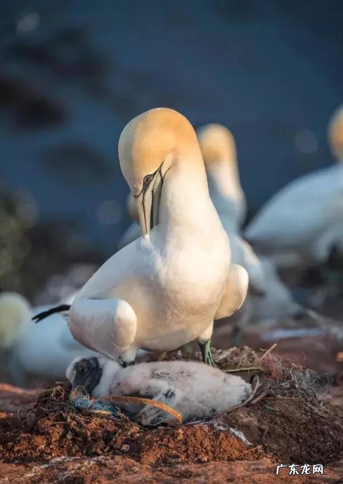 大自然景观作文 大自然景观