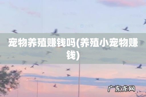 养殖小宠物赚钱 宠物养殖赚钱吗