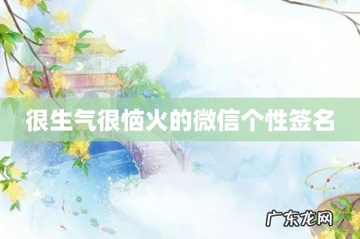 很生气很恼火的微信个性签名