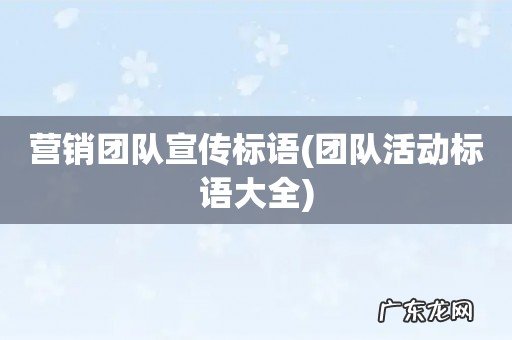团队活动标语大全 营销团队宣传标语