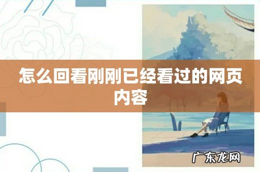 怎么回看刚刚已经看过的网页内容