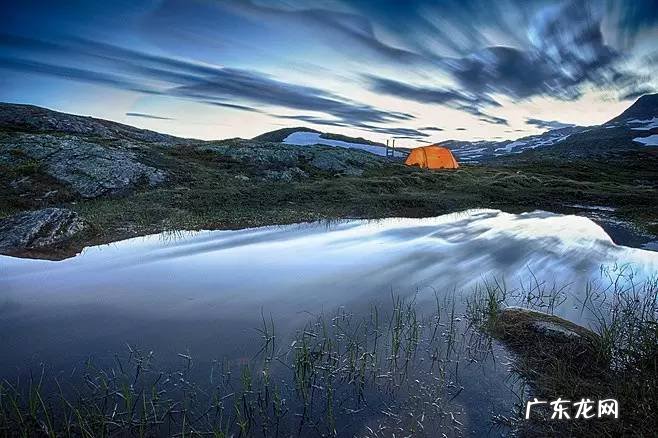有蚂蚁窝的地方风水好吗 有蚂蚁窝的地方风水
