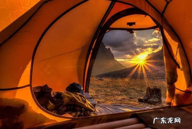 有蚂蚁窝的地方风水好吗 有蚂蚁窝的地方风水