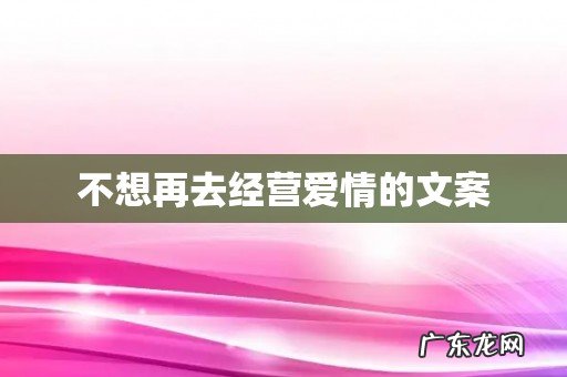 不想再去经营爱情的文案