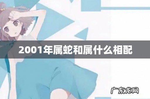 2001年属蛇和属什么相配