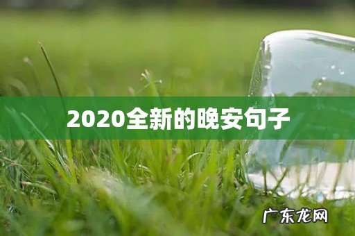 2020全新的晚安句子