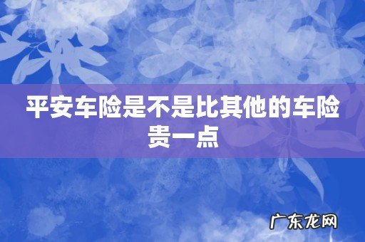 平安车险是不是比其他的车险贵一点