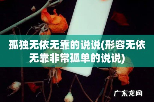 形容无依无靠非常孤单的说说 孤独无依无靠的说说