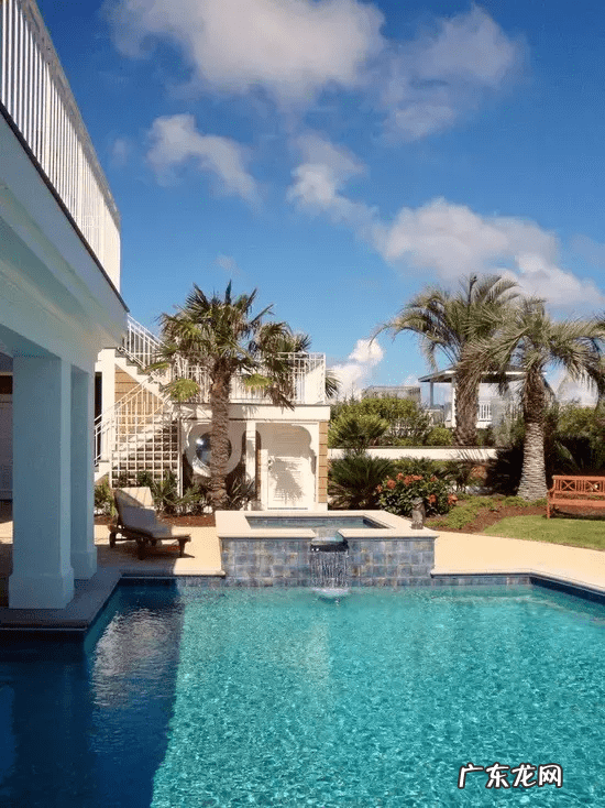 自家院子里种什么树风水好 院内栽什么树风水好