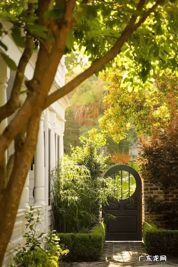 自家院子里种什么树风水好 院内栽什么树风水好