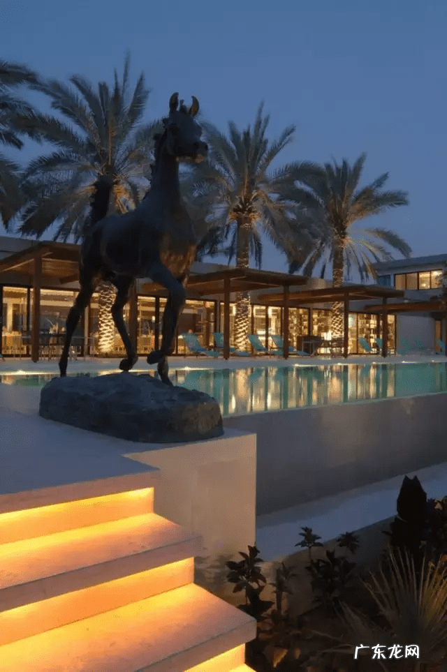 自家院子里种什么树风水好 院内栽什么树风水好