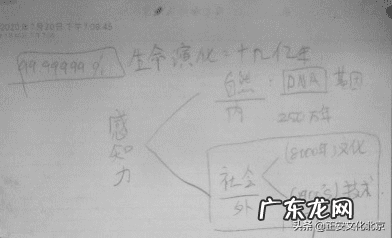 最好风水图 风水经典穴位图