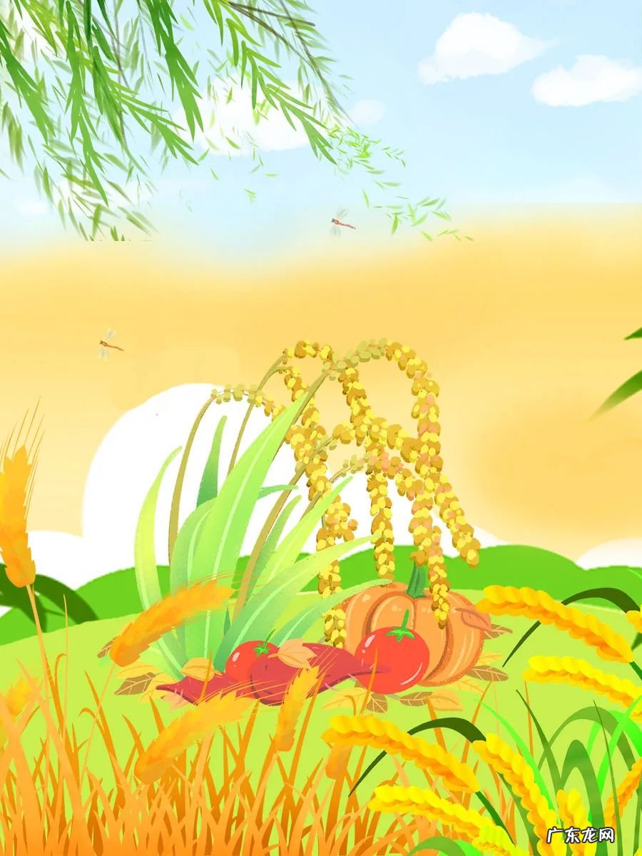 微黄的睡前的小故事 有没有黄黄的睡前故事