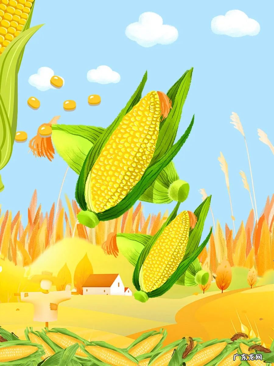 微黄的睡前的小故事 有没有黄黄的睡前故事