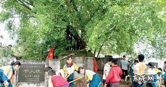 南宁风水哪里最好 南宁风水最好的区域