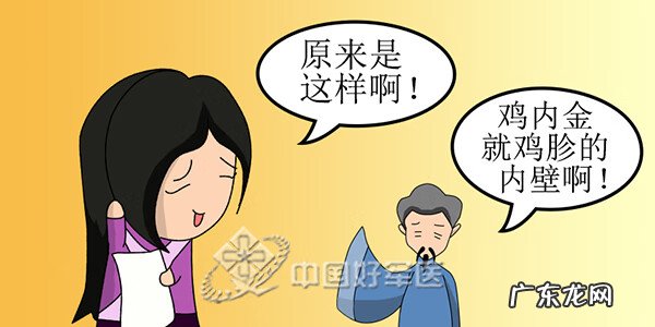 鸡内金是干什么的 鸡内金是什么东西