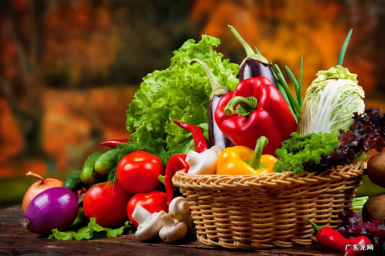 空气清新剂哪个味道好闻 空气清新剂的作用