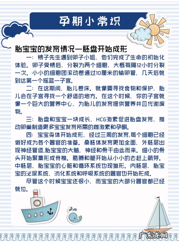 孕期营养指南 孕期指南