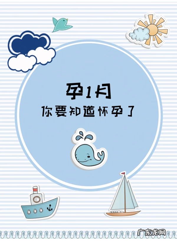 孕期营养指南 孕期指南