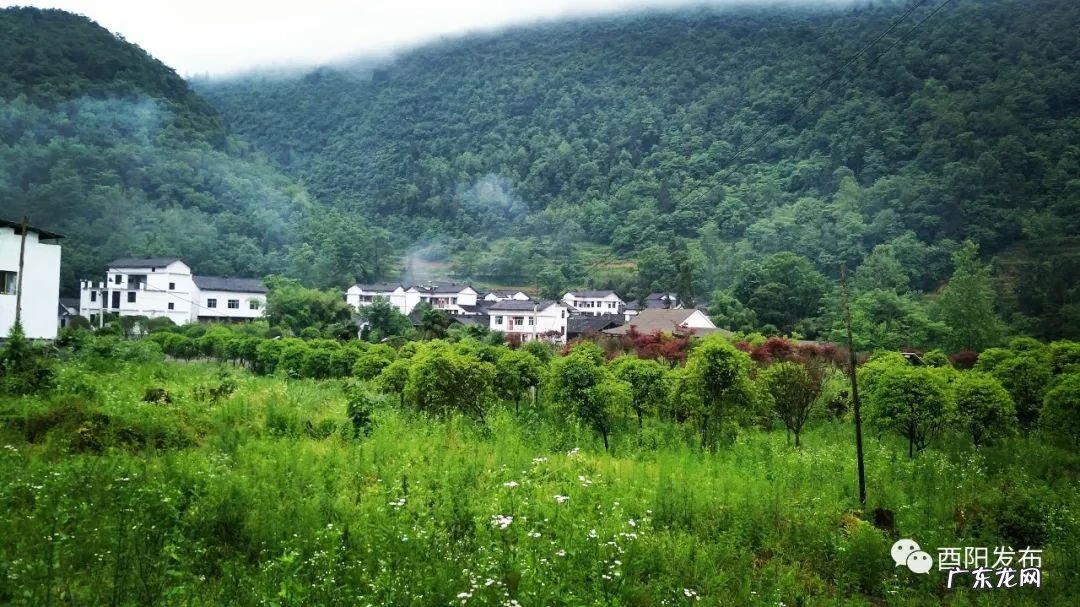 酉山卯向风水实例 酉阳风水大师