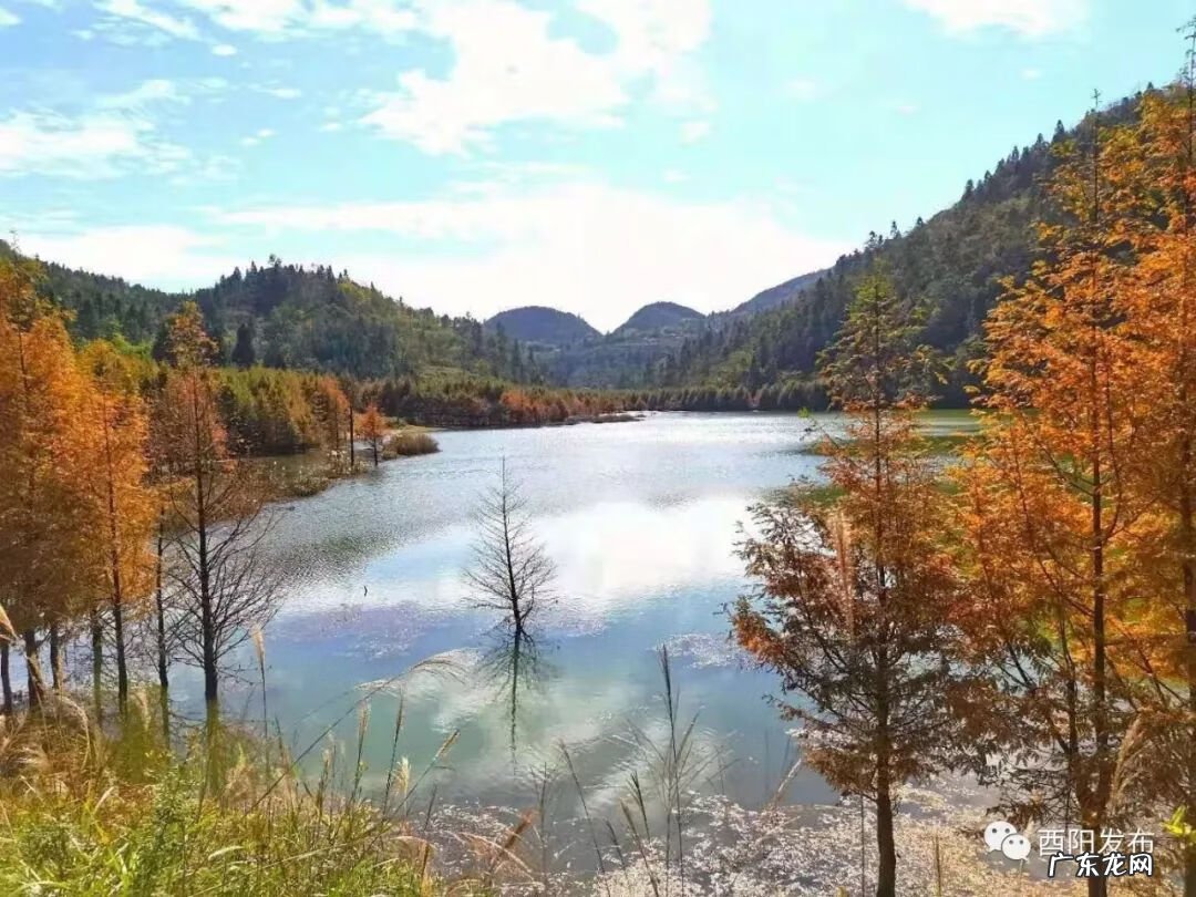 酉山卯向风水实例 酉阳风水大师