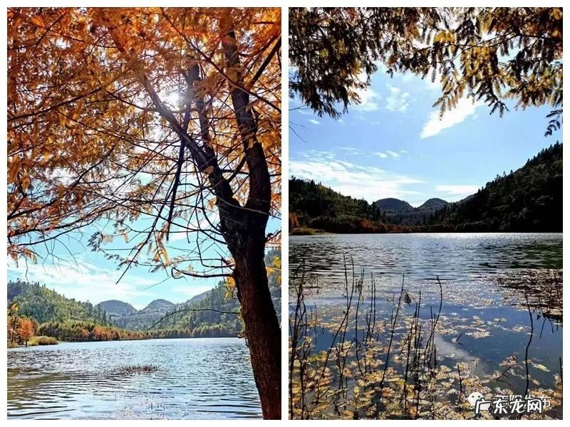 酉山卯向风水实例 酉阳风水大师