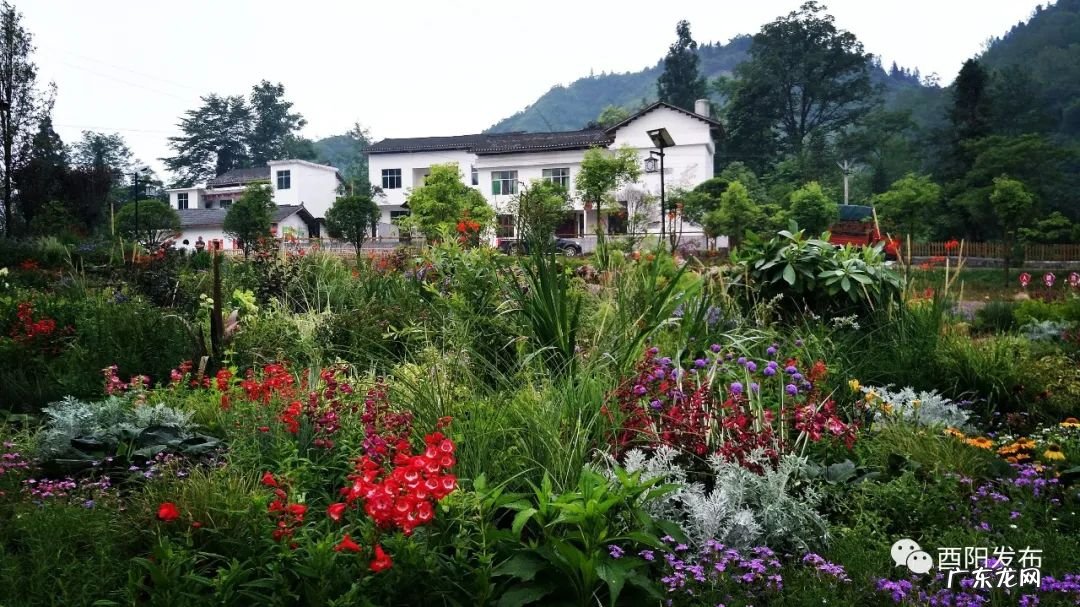 酉山卯向风水实例 酉阳风水大师