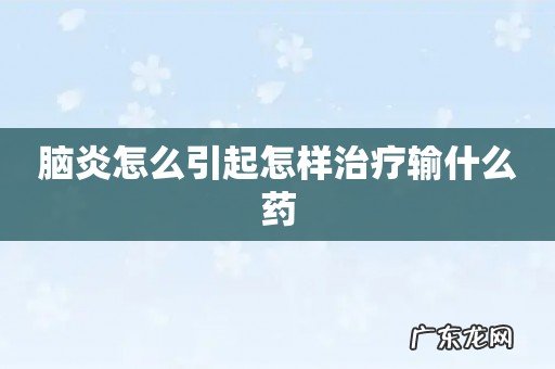 脑炎怎么引起怎样治疗输什么药