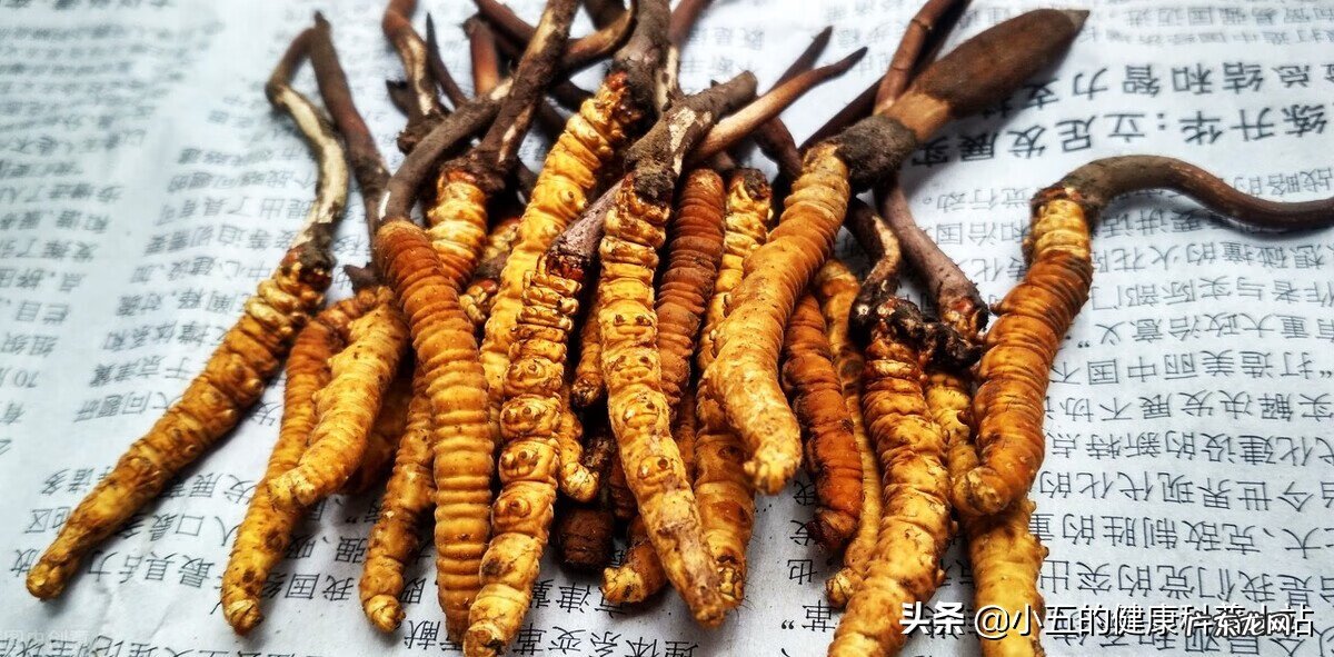 汤臣倍健补肾吃什么保健品 补肾保健品排名