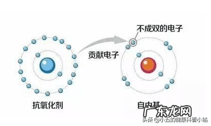 汤臣倍健补肾吃什么保健品 补肾保健品排名