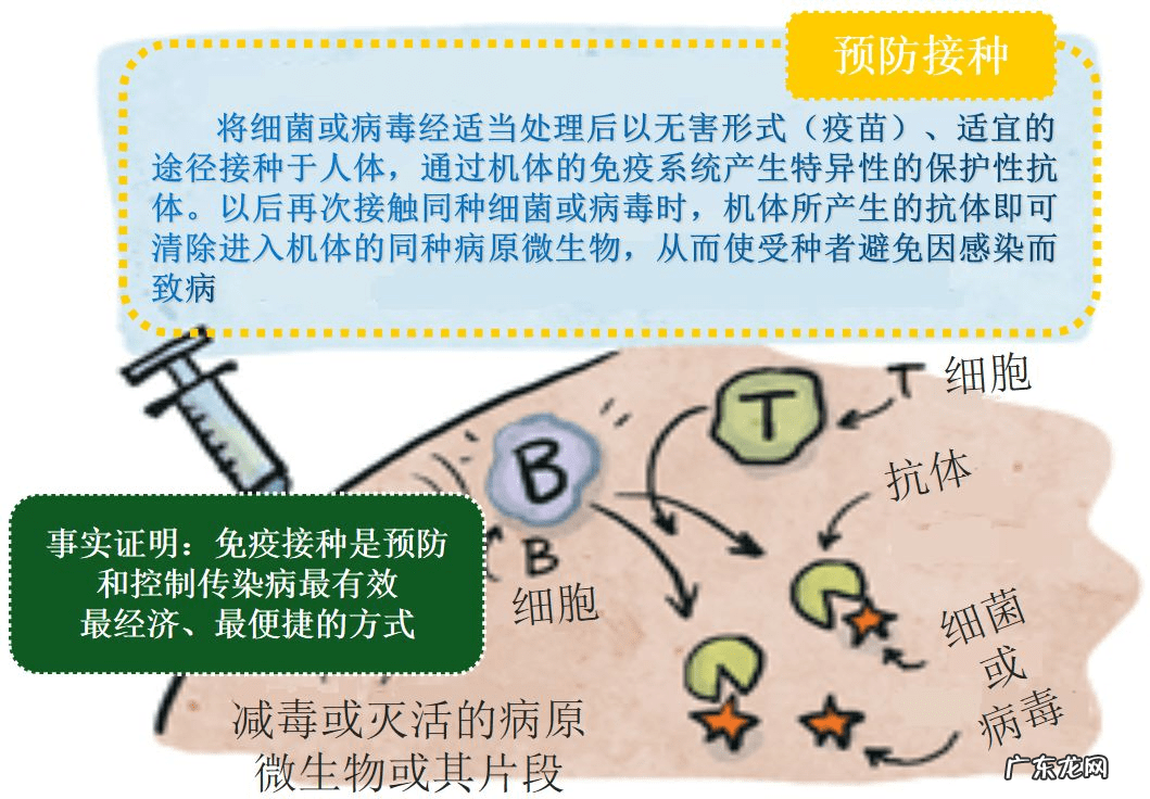 计划免疫接种 免疫接种