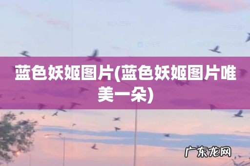 蓝色妖姬图片唯美一朵 蓝色妖姬图片