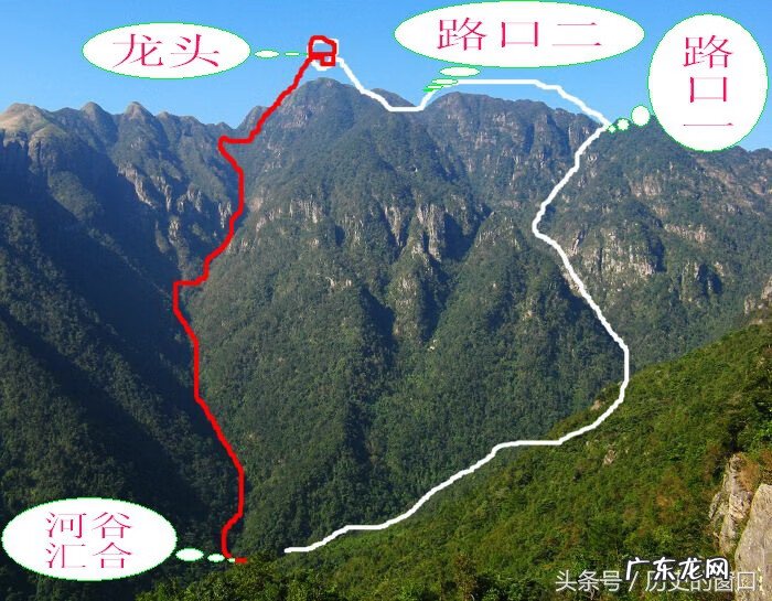 广西武鸣风水事件 广西武鸣天井岭风水全蛇挂树