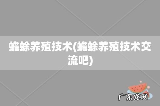 蟾蜍养殖技术交流吧 蟾蜍养殖技术