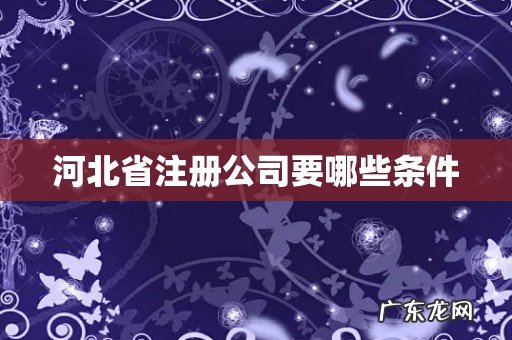 河北省注册公司要哪些条件