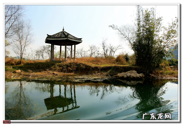 桂东是哪里 八桂风水吧