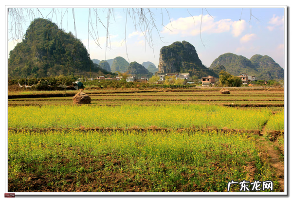 桂东是哪里 八桂风水吧