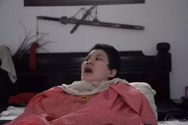 家里枯树复活风水 枯木摆件风水