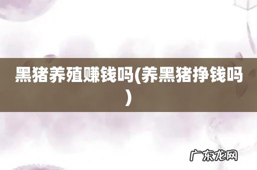 养黑猪挣钱吗 黑猪养殖赚钱吗