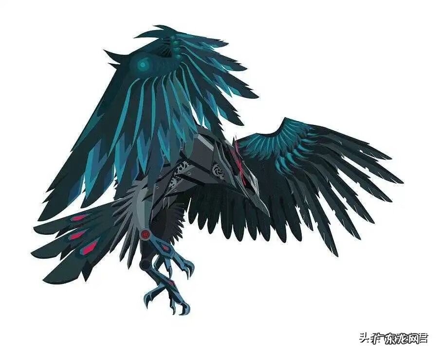 乌鸦出现在自家窗户上 乌鸦老是叫是风水不好吗