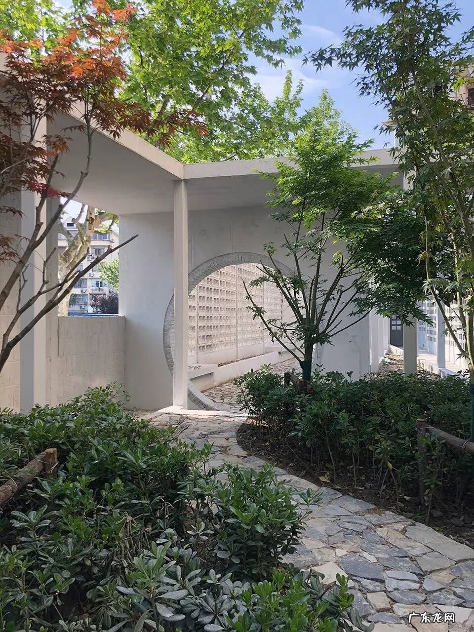 七色空间 七栋空间是啥