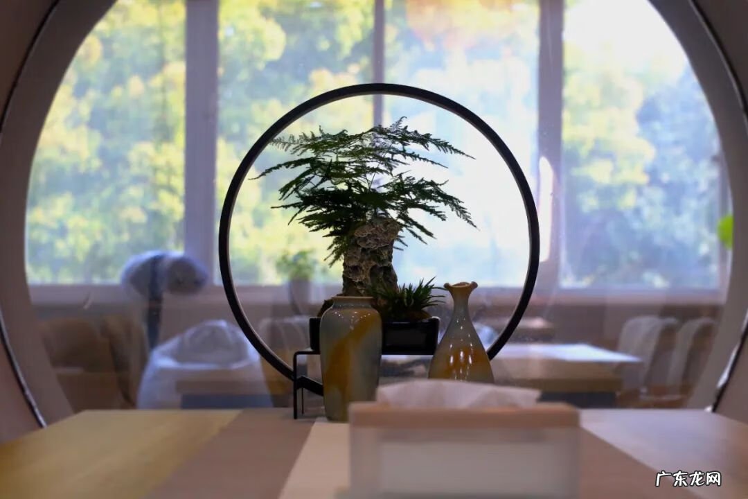 七色空间 七栋空间是啥