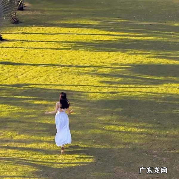 风水轮流转,给我往死里转 风水轮流转 往死里转