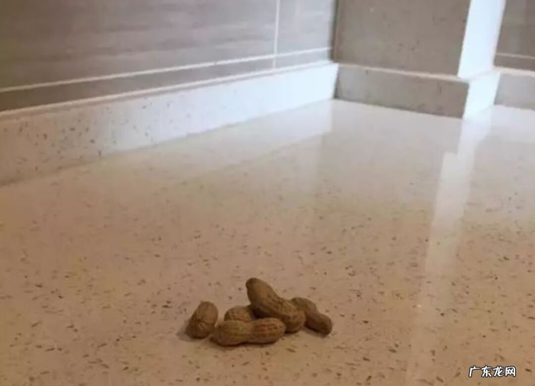 父母课堂海报 风水宣传海报