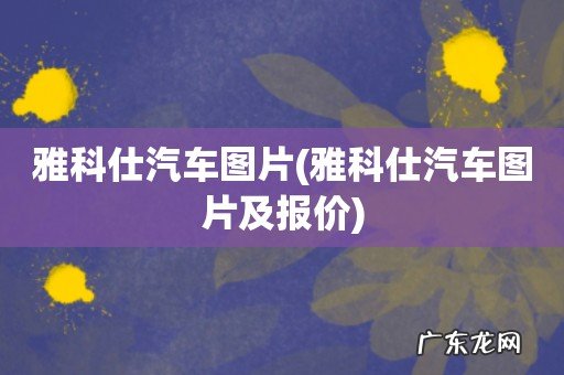 雅科仕汽车图片及报价 雅科仕汽车图片