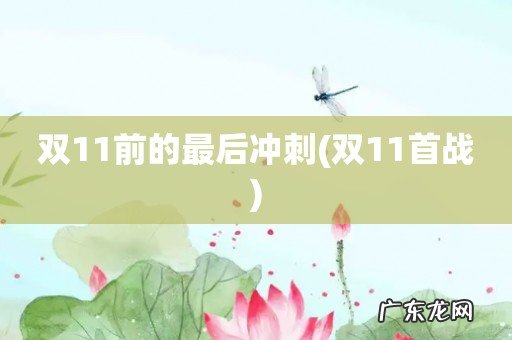 双11首战 双11前的最后冲刺