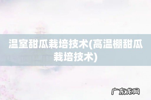 高温棚甜瓜栽培技术 温室甜瓜栽培技术